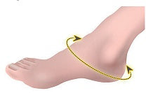 DermaSaver Heel Protector With Toe Cover